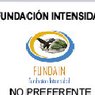 Fundación Intensidad